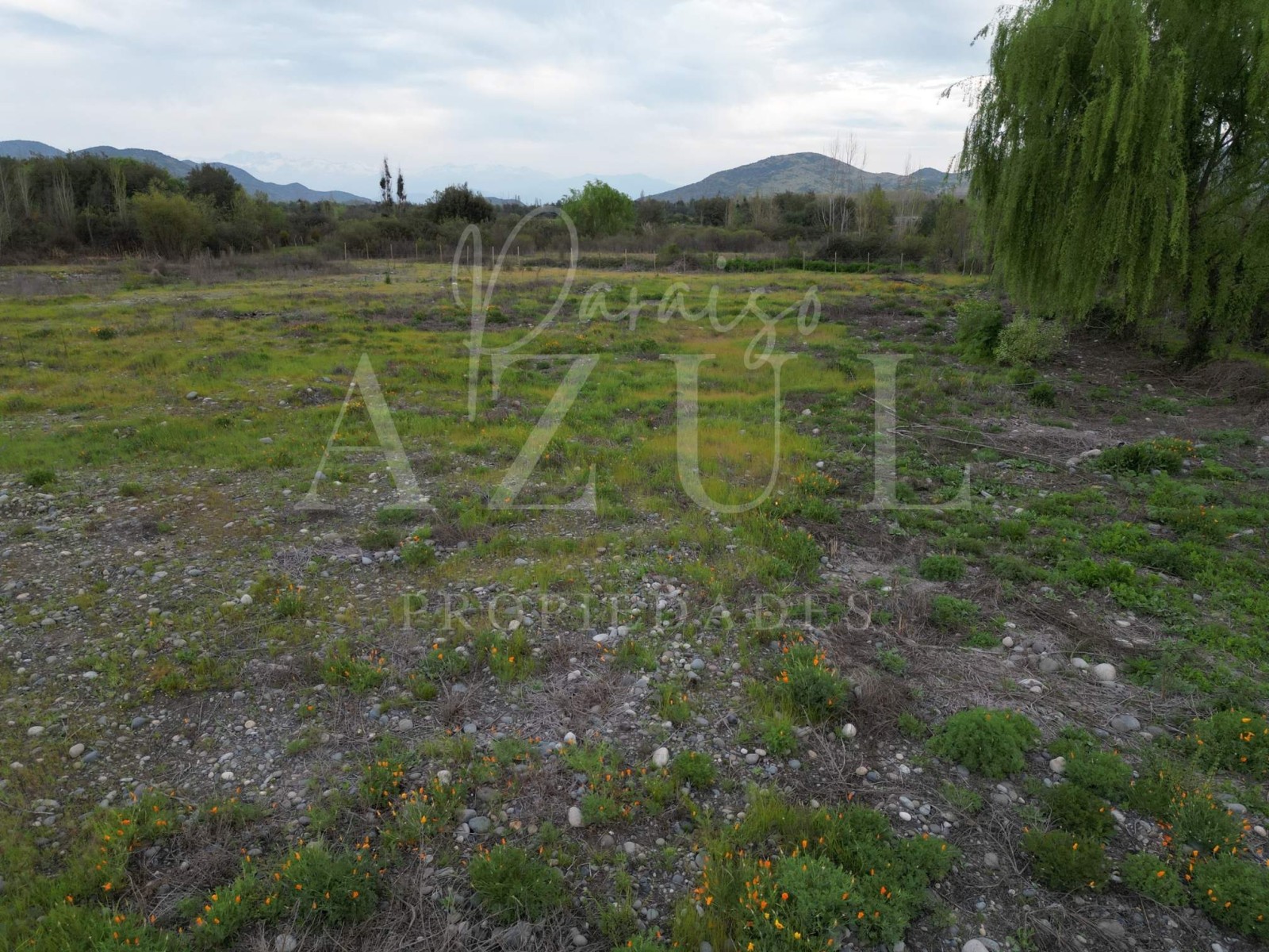 Parcelas en Coltauco 5.600 m² 100% planas, rol propio, factibilidad de luz y agua